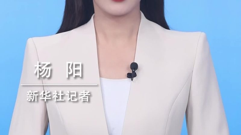政府采购信息化项目管理流程解析